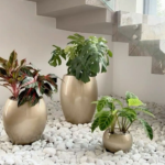 White Pebbles - Image 15