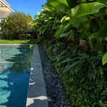 Black Pebbles - Image 3
