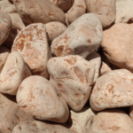 Coralito Pebbles - Image 7
