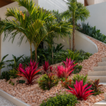 Coralito Pebbles - Image 5